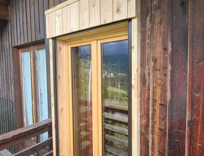 Porte vitrée bois + Volet roulant